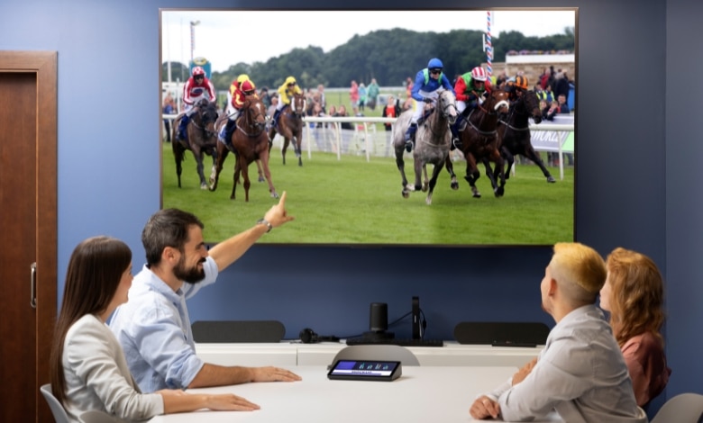 Creating a winning strategy for horse racing crypto betting in 2024